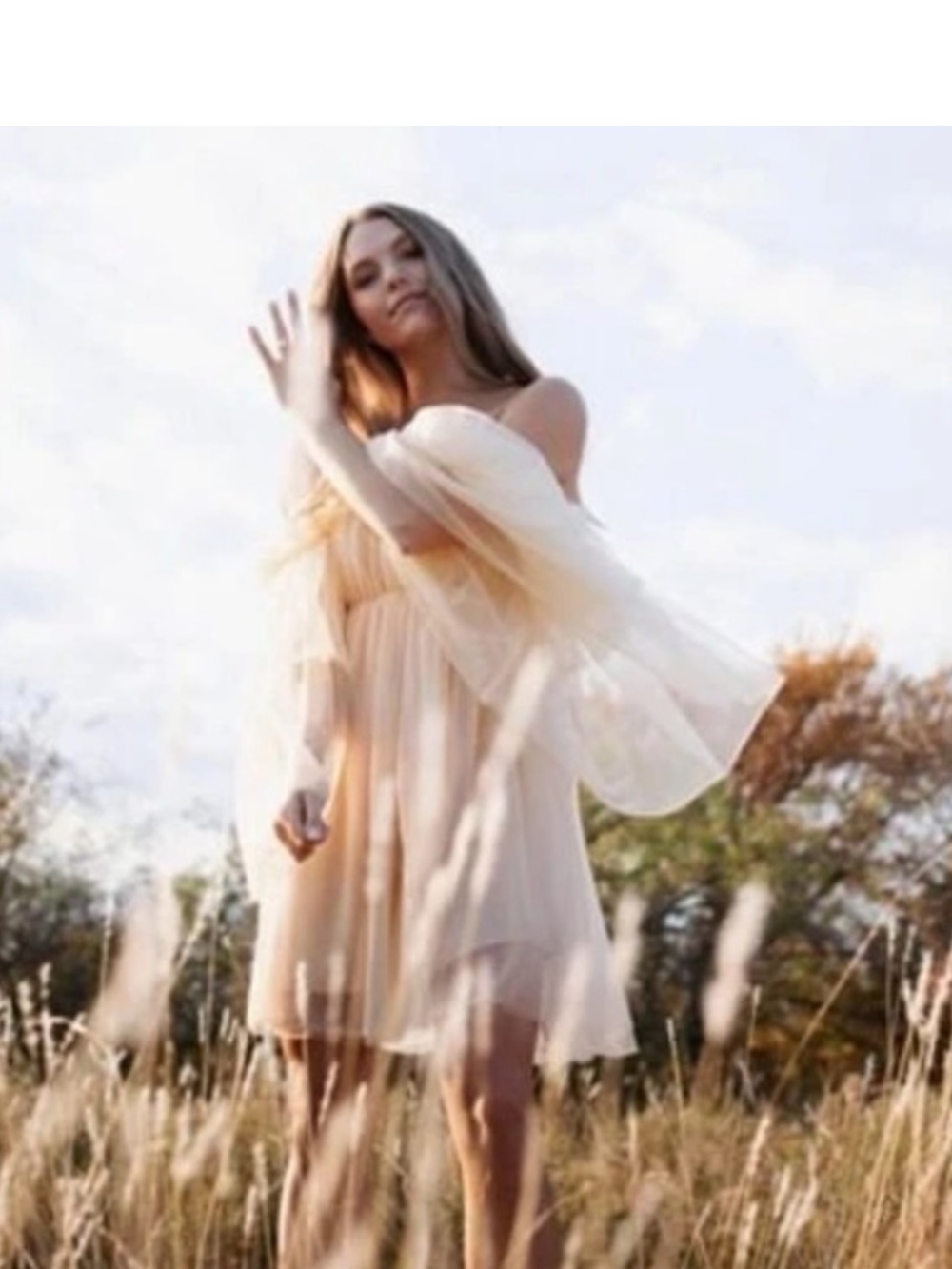 ReminisceMe:Ruffle off the shoulder Mesh Dress Fairy Layer Cream Sz S NWOT FIRM$ - Picture 7 of 13